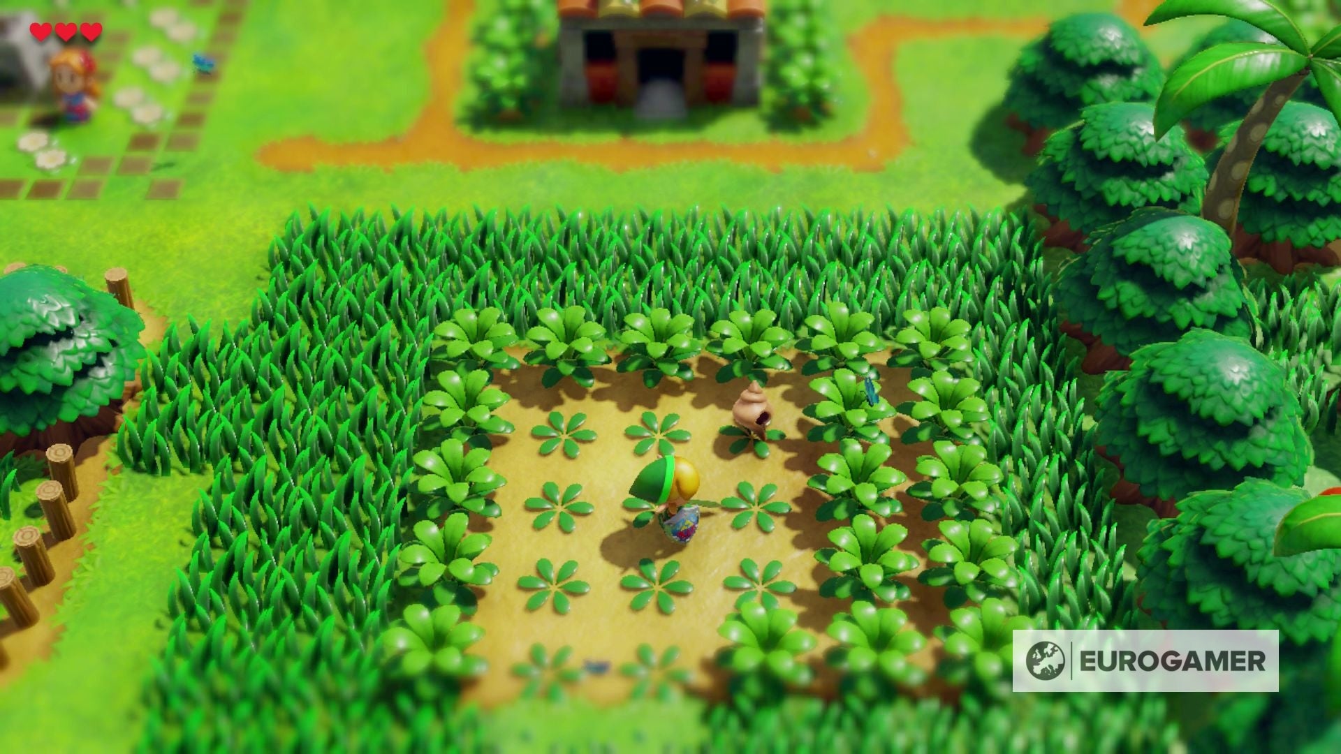 Zelda Link's Awakening Secret Seashell locations and how to get